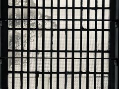 -阿尔卡特拉斯岛