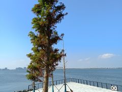-滴水湖