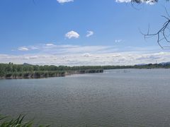 -野鸭湖国家湿地公园