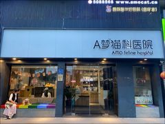 -御宝贝·A梦猫科宠物医院(国际猫友好医院)