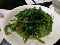 -糖朝(尖沙咀店)