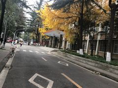 -四川大学(望江校区)
