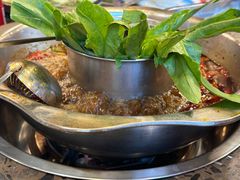 -金鼎雪山牦牛杂火锅(理县总店)