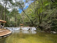 -牛背梁国家森林公园