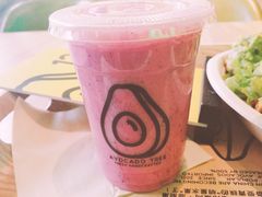 -油梨树AVOCADO TREE(望京店)