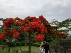 -大嶝英雄三岛战地观光园