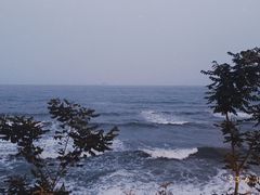 -燕儿岛山公园