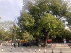 -宝通禅寺