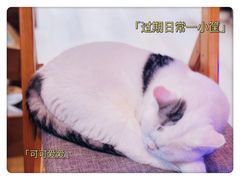 -三仟津花园咖啡馆