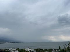 -野菌皇海景野生菌火锅(滨海大道店)