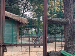 -福州动物园