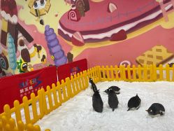 -第五极儿童乐园