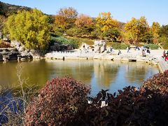 -北京西山国家森林公园