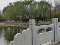 -大兴滨河森林公园