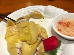 -百姓·百味家宴油茶馆(鼎运大厦店)