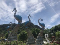 -密云玫瑰情园