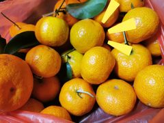 -优托邦(长兴路店)