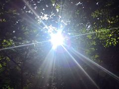 -东天目山风景区