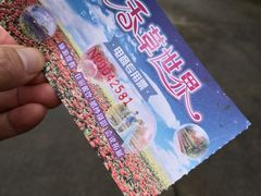 -广东花都香草世界旅游度假区
