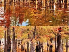 -白鹭湾湿地公园