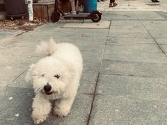 -小意思咖啡店(草桥店)