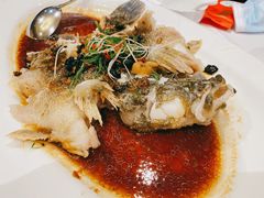 清蒸笋壳鱼-博多新记·粤菜(复兴店)
