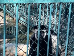 -秦皇岛野生动物园