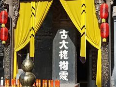-大槐树寻根祭祖园