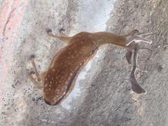 iphone_upload_pic-太原动物园