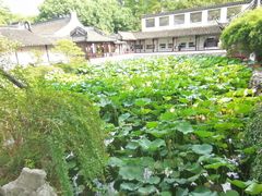 -上海醉白池公园