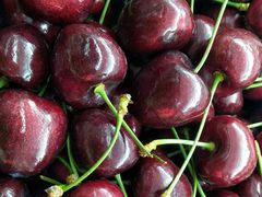 -全而廉(靖宇中路店)