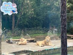 -贵州森林野生动物园