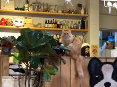 -小时光咖啡馆(北锣鼓巷店)