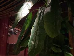 -都氏家DUSJOY(翡翠城店)