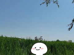 -西青郊野公园