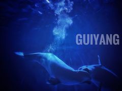 -多彩贵州城极地海洋世界