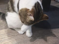 -小时光咖啡馆(开森度假森林店)