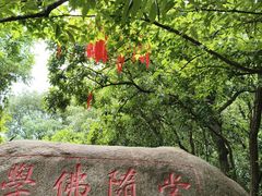 -灵岩山风景区