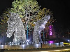 -鼎盛王朝康熙大典实景演出