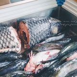 老刘铁锅炖鱼｜传承六代人的铁锅炖
