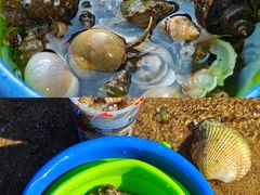 -湄洲岛