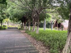 -厦门园林博览苑