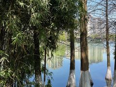 -洋湖国家湿地公园
