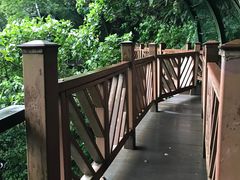 -太鲁阁公园
