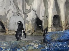 -太平洋海底世界