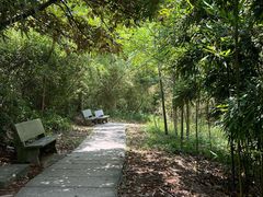 -中山市树木园