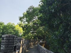 -广州莲花山旅游区