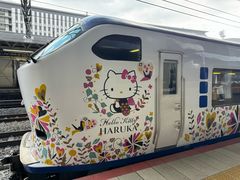 -关西机场 JR ticket office(Kansai Airport)