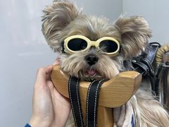 -美联众合动物医院·24h转诊中心