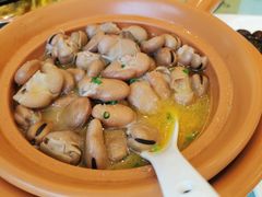 鸡汁发芽豆-骏莱海鲜鱼港(五角场店)